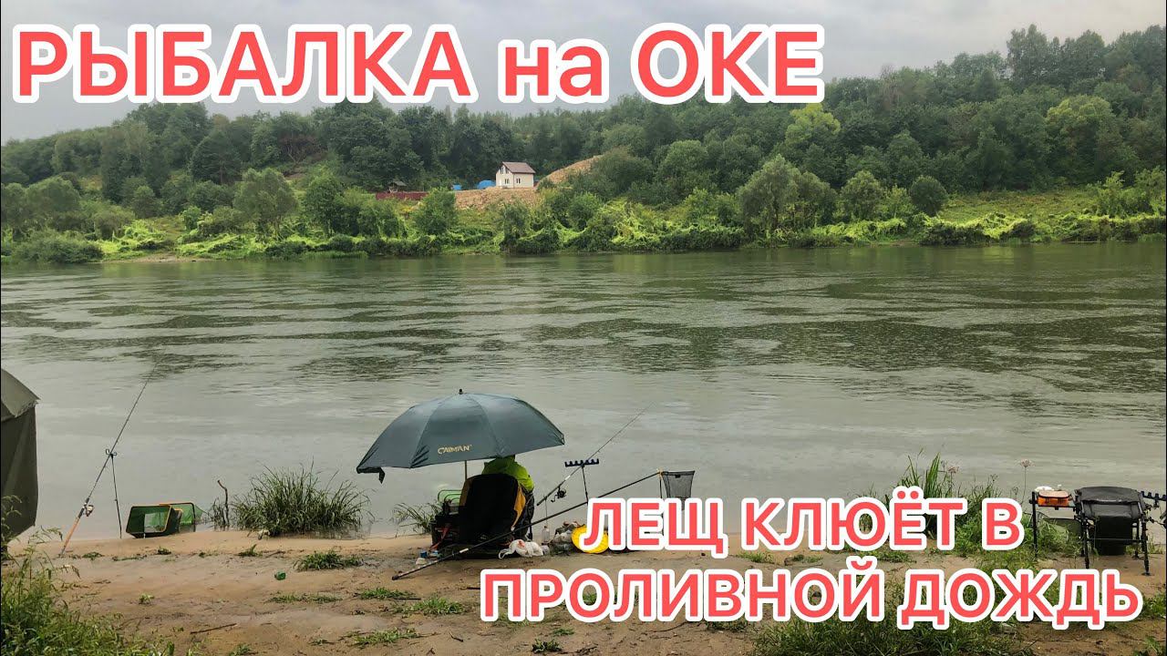РЫБАЛКА на ОКЕ / ЛЕЩ КЛЮЁТ и ОЧЕНЬ БОЙКИЙ в ПРОЛИВНОЙ ДОЖДЬ смотреть онлайн