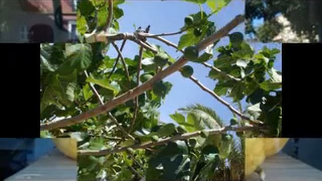 ВЕСНА смотреть онлайн