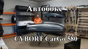 Автомобильный бокс CYBORT CarGo 580 в цвете серый металлик