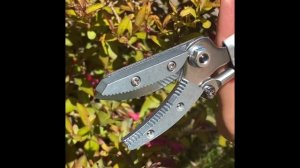 Секатор удлинённый ARS модель 160-0.6