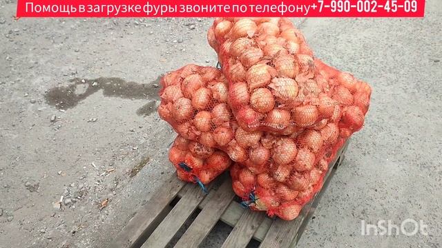 16-09-2023 г Цены сегодня рынок Великие Копани Херсонская область. смотреть онлайн