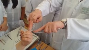 Топ. анатомия виды узлов швы и хирургические инструменты часть 4