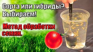 Подготовка семян к посеву.