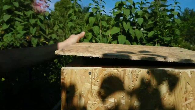 Автоматическая бункерная кормушка для курей на основе мясорубки (шнек) и sonoff (соноф). Часть 9 смотреть онлайн