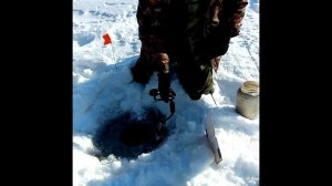 Рыбалка на Бурейском водохранилище февраль-апрель 2018г.