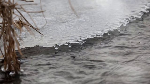 ДЕВОЧКА была домашней, и тихой, но ПРИШЛА БЕДА смотреть онлайн