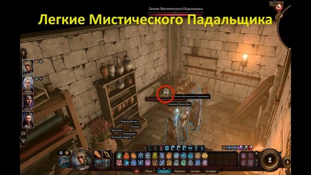 Baldur's Gate 3 Мистический Падальщик #BaldursGate3
