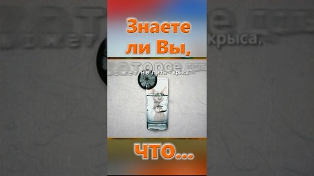 Знаете ли Вы, Что? Змея и крыска