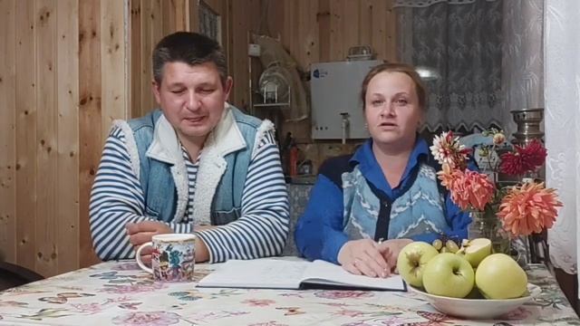 Какая порода пчел лучше? Наши наблюдения. смотреть онлайн