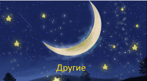 "Другие"