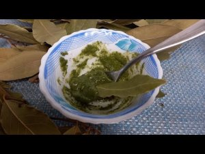 НАродная Мазь от Болей в суставах! Лавровый лист для суставов!
