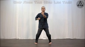 Вин Чун кунгфу. Форма: Сиу Лим тао. Направление Яо цай