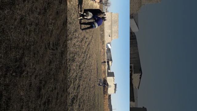 Таваккал полвон тагалбос смотреть онлайн