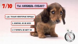 ТЕСТ! Куда ТЫ Попадешь в РАЙ или АД