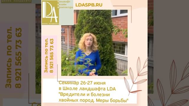 26-27 июня семинар "Вредители и болезни хвойных пород. Меры борьбы» смотреть онлайн