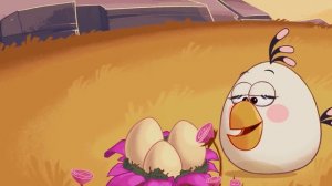 Angry Birds | Back to School Mashup Compilation