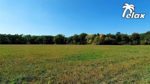 Sounds of Crickets in the grass with the Effect of Presence