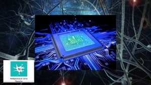 Мозг - Нейроны и их секреты - Общая информация▶