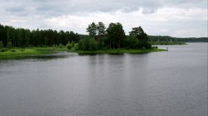 2024-07-13 Природа по пути в Герасимовку,имени Павлика Морозова