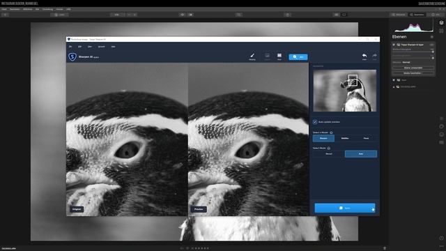 Luminar 4 - PlugIns aktivieren und wie sie funktionieren смотреть онлайн