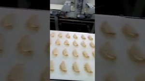 Линия производства сочников с творогом