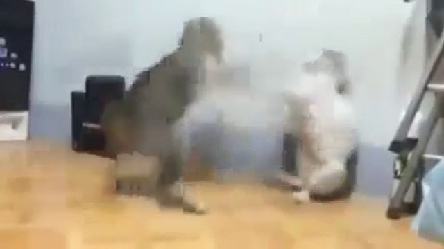 Я ведал много боев ,но такого не видел