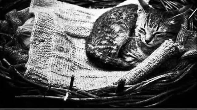 Они тоже хотят, что бы их любили... смотреть онлайн