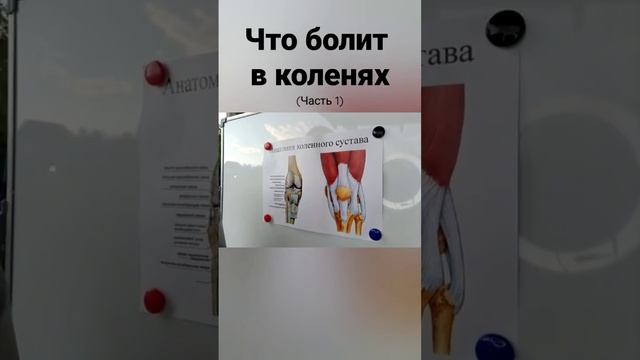 что может болеть в колене - часть 1