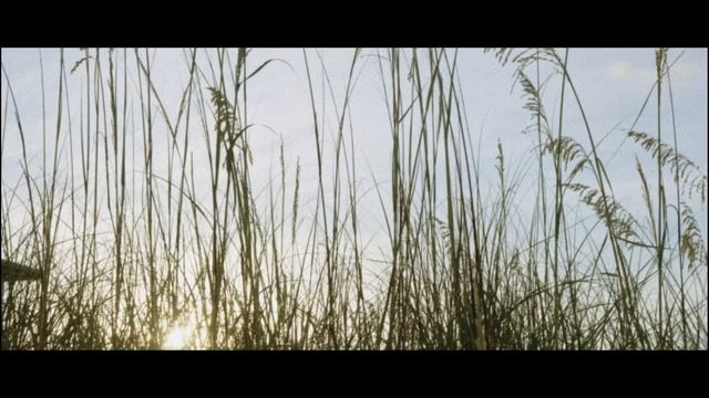 Sony FX3 and Atomos Ninja V 4K 60p Prores footage with Filmconvert смотреть онлайн