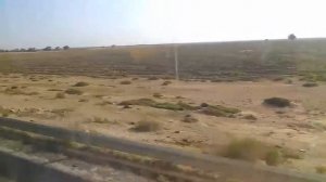 Riadh palms. Отель 4 звезды. Африка. Тунис. Сус. Часть 1