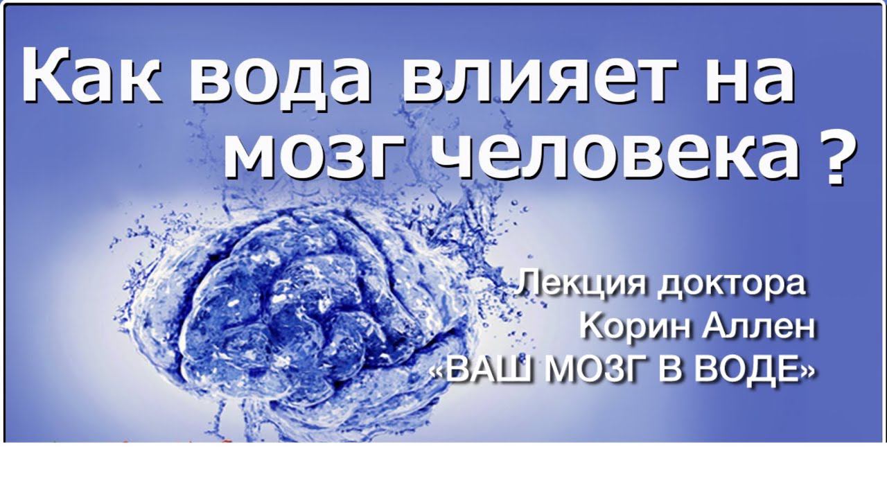 Как влияет вода на мозг человека? Доктор Корин Аллен «мозг в воде»