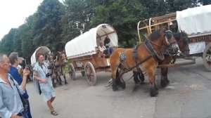 Кони в Калининграде!Титаны в пути-2018