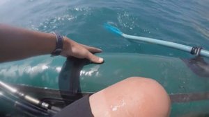 рыбалка на креветку 6