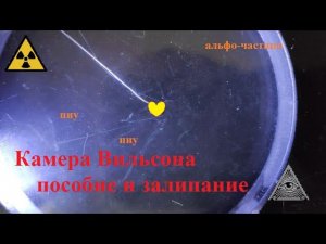 Камера Вильсона