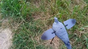 Махокрыл. Чучела голубей для охоты. +7918966-05-08