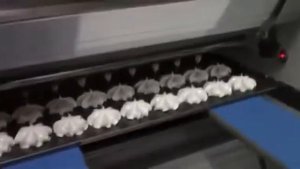 Отсадочная машина для зефира