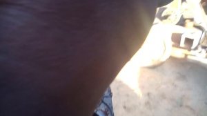 Установить датчик скорости