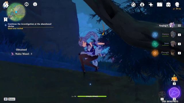 Mysterious Shadow Quest - Inazuma | Genshin Impact смотреть онлайн