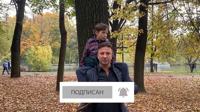 Как принимается план реструктуризации долгов гражданина-банкрота