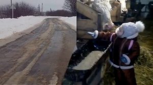 #Покупка, новой коровы, пополнение в хозяйстве.