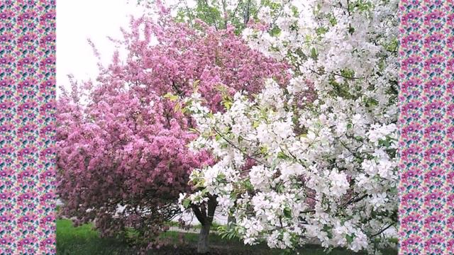 З З - Один раз в год На память о былом Ну и об обмане тоже смотреть онлайн