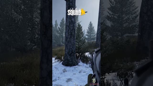 SQUAD Asta La Vista Baby #squad #milsim #gameplay #стрим