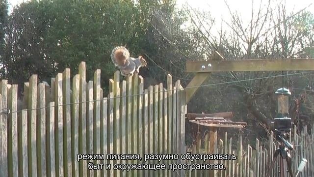 Система долговременного ухода: что это такое и кому она нужна