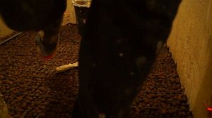 КАК СДЕЛАТЬ СТЯЖКУ ПОЛА. ЦПС. БЮДЖЕТНЫЙ ВАРИАНТ