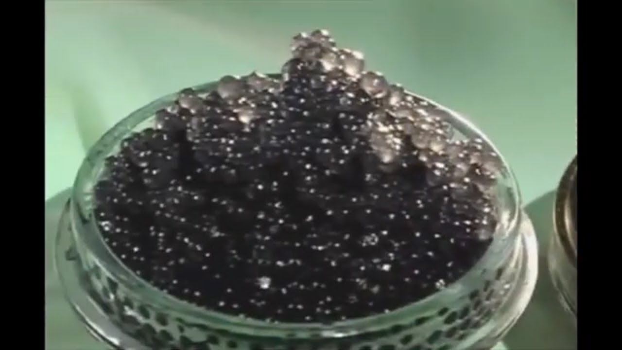 Икра Красная Методы ловли Икра Черная   Как засолить красную икру черную икру