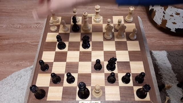 Шахматы. Конь за три хода ставит мат. Гарантированная шахматная ловушка. смотреть онлайн