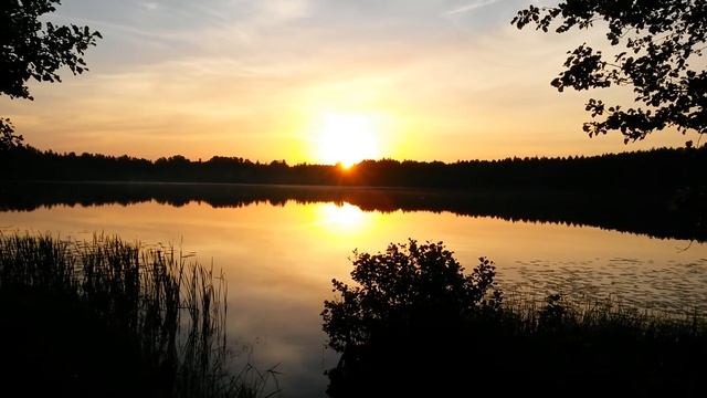 Озеро Светлояр, первые лучи восходящего Солнца 21.06.2015 смотреть онлайн