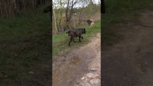 Лихославльское озеро