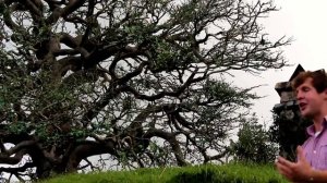 The Shire - A Brief Hobbiton Tour in Matamata New Zealand, LOTR The Hobbit