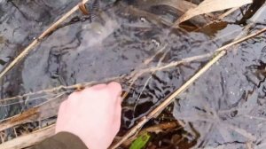 КАК ловить ОКУНЯ на СПИННИНГ ЗИМОЙ? ПРОВОДКА для ультралайта в сильный ветер!